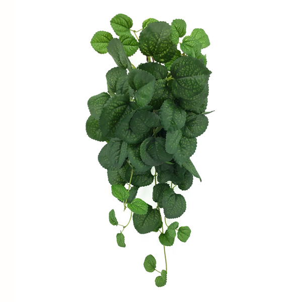 Hanging Plant Mint Leaf Hanging