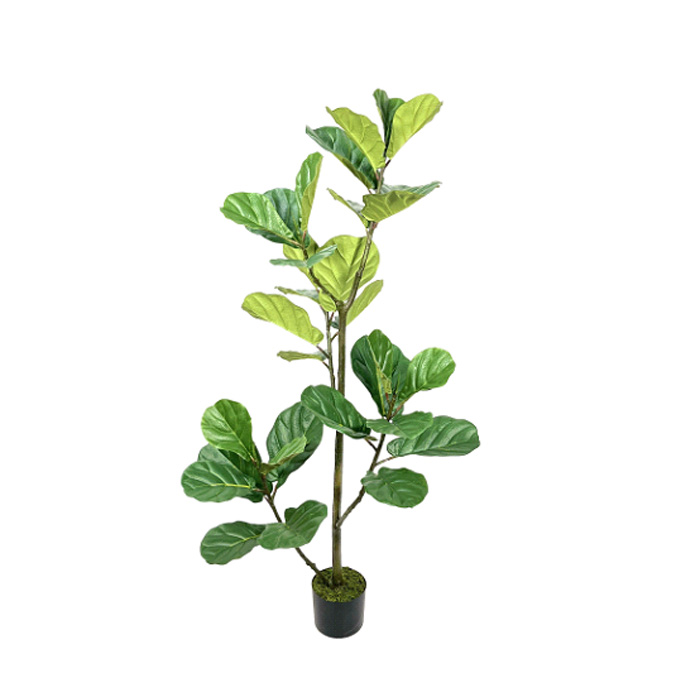 Figo de folha de violino artificial em vaso Premium