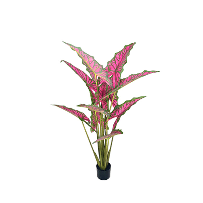 Alocasia artificiale Premium Sarian