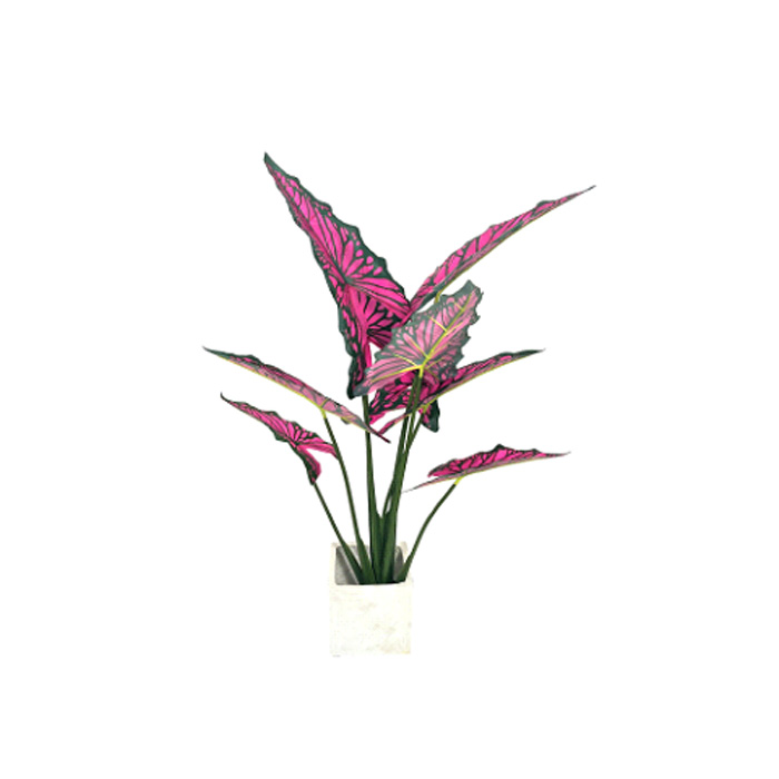 Alocasia artificiale Premium Sarian