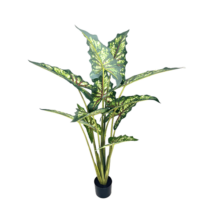 Alocasia artificiale Premium Sarian