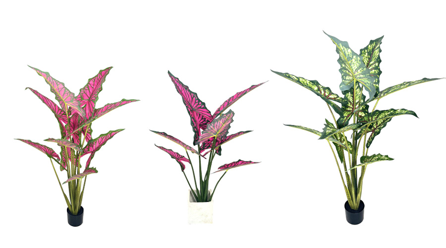 Alocasia artificiale Premium Sarian