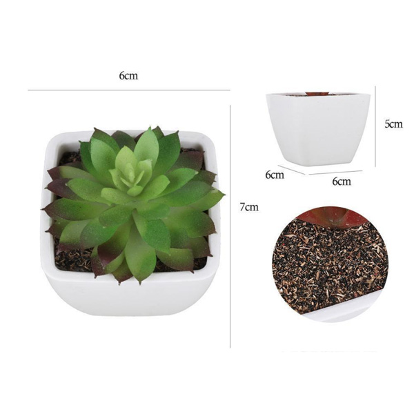 Artificial Plants
