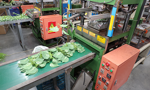 Manufacturing