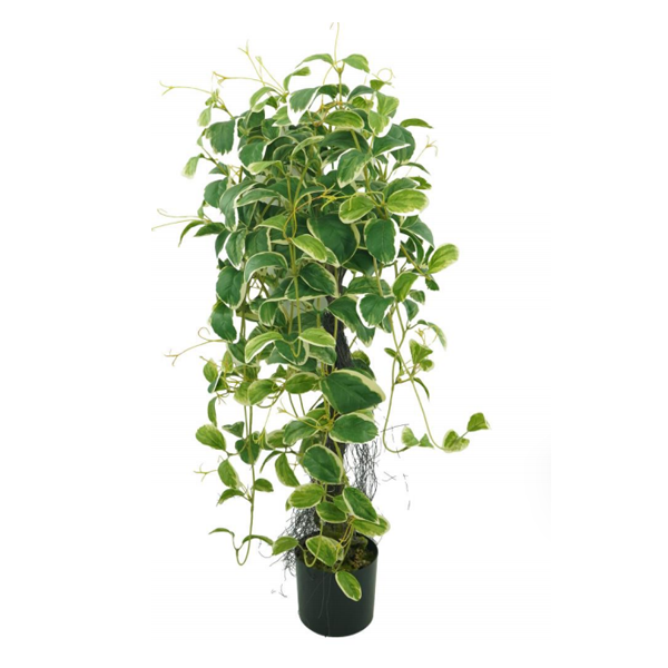 artificial plants